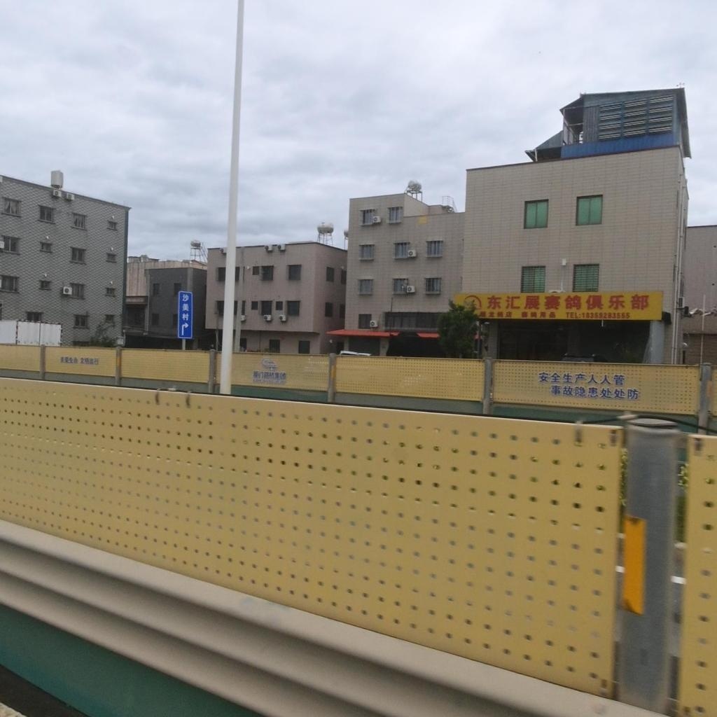 东汇展赛鸽俱乐部