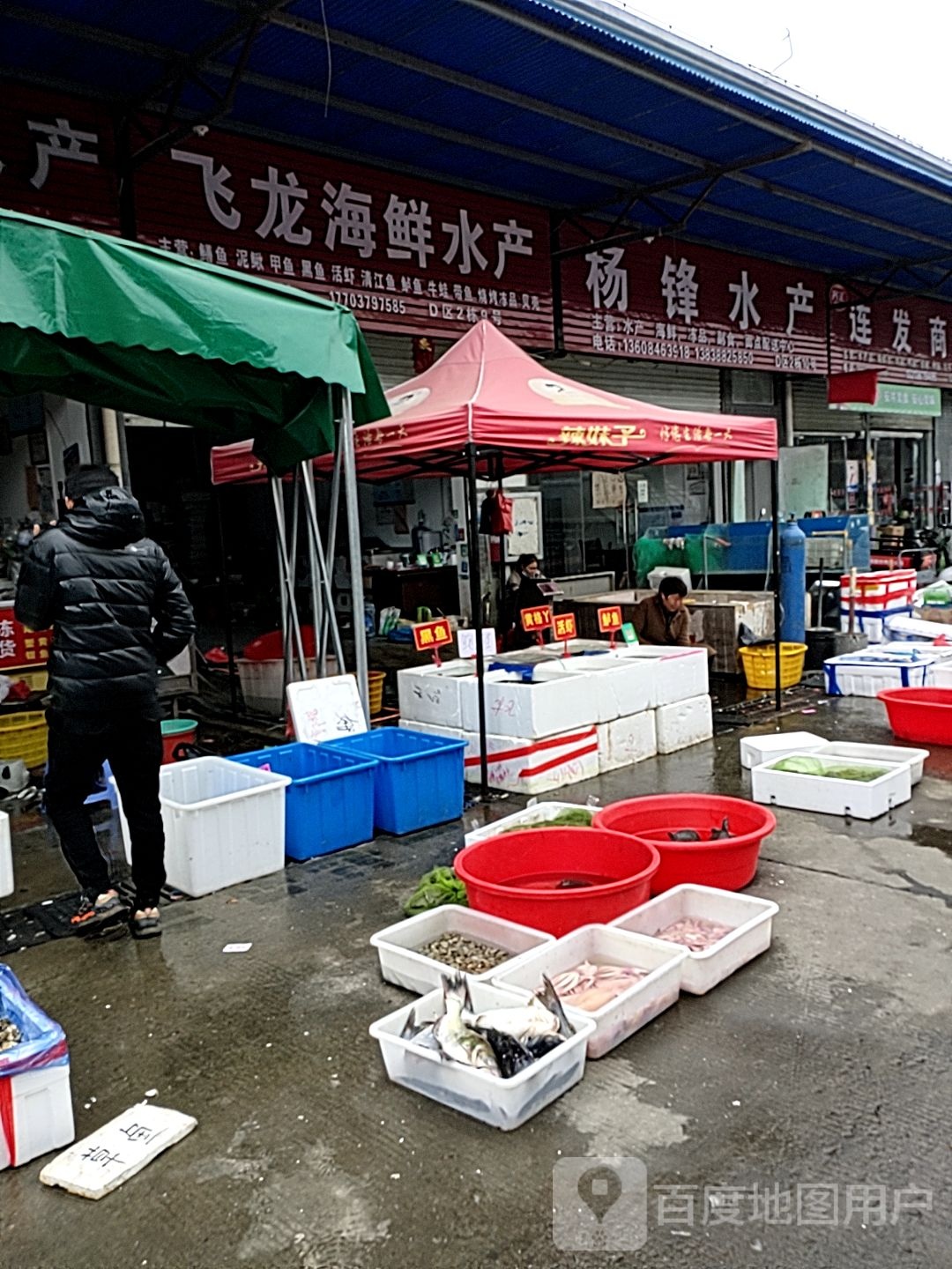 杨锋水产