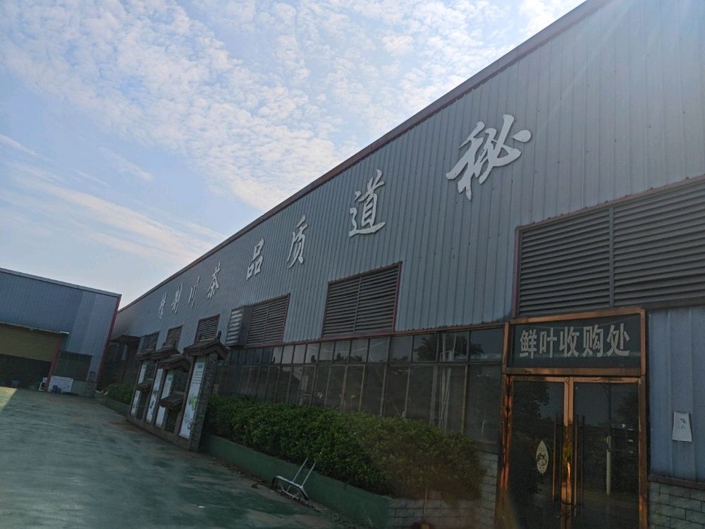 宜宾市道秘茶叶有限责任公司