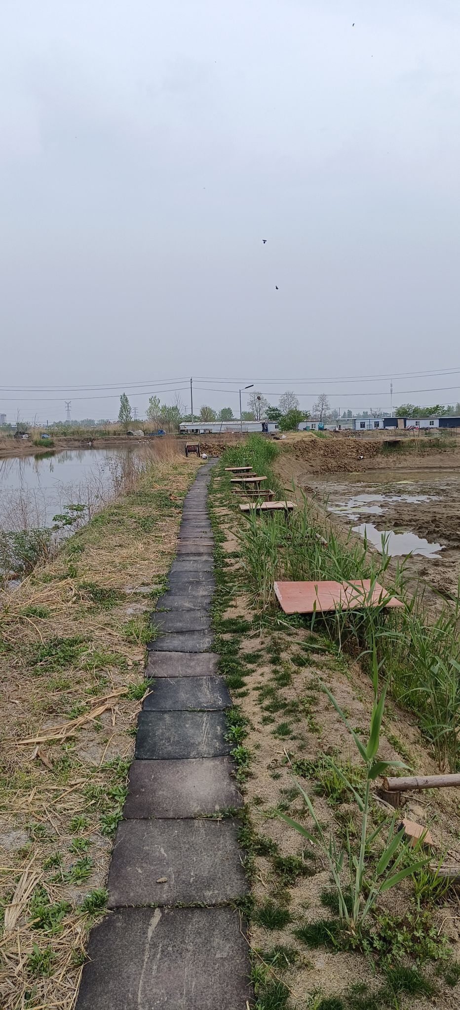 江河钓场