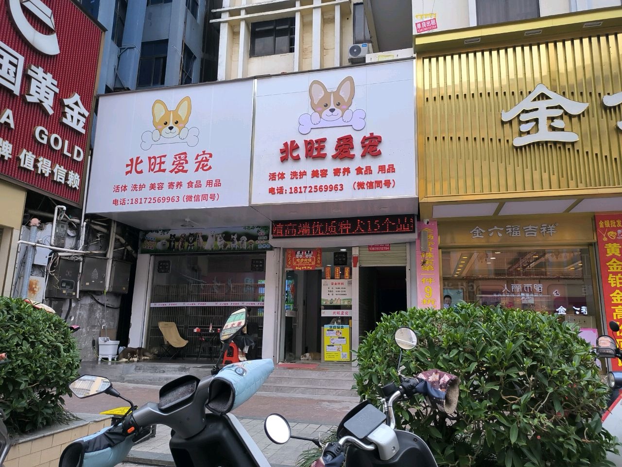 北旺爱宠(步行街店)