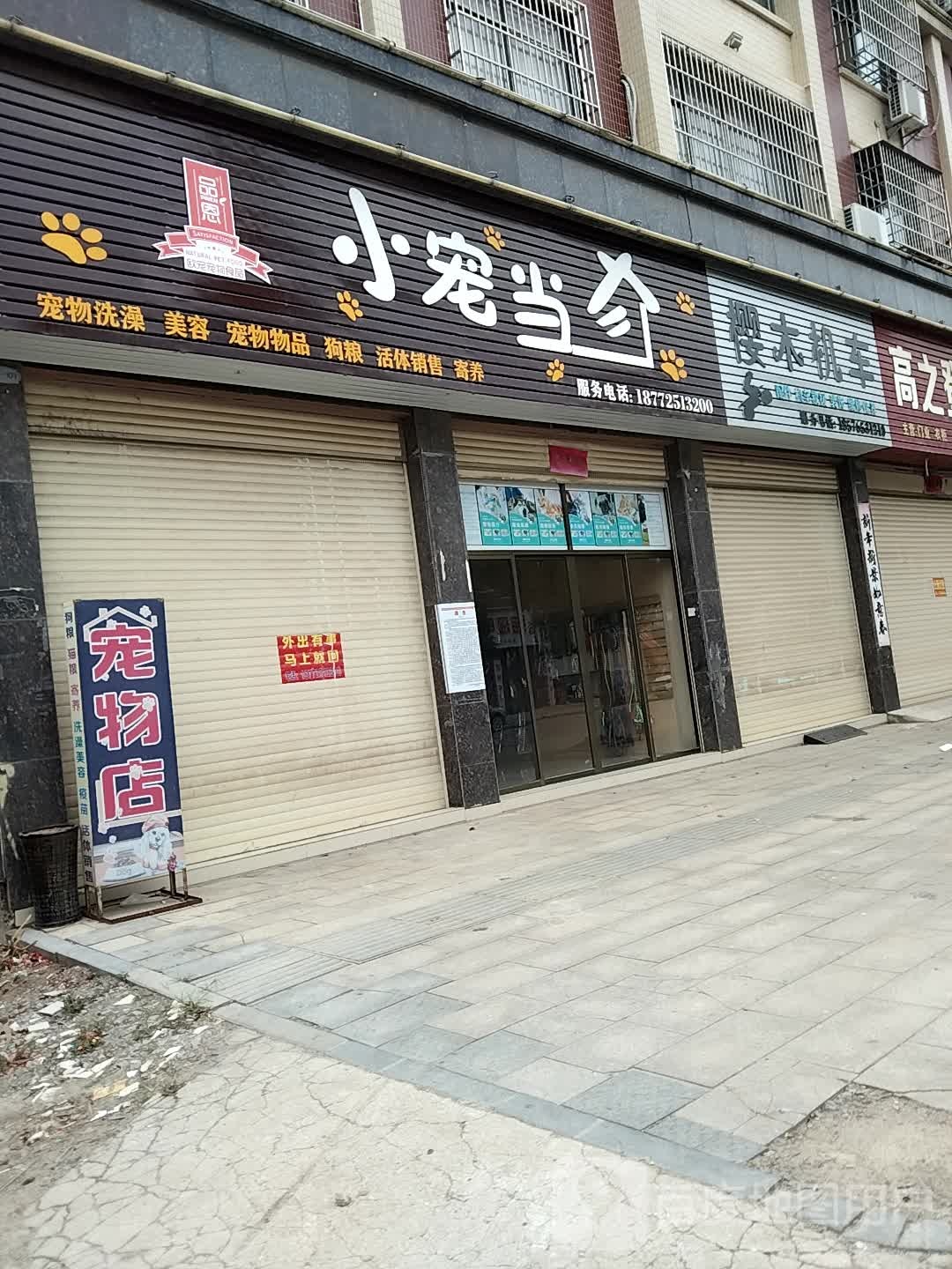 小宠当家