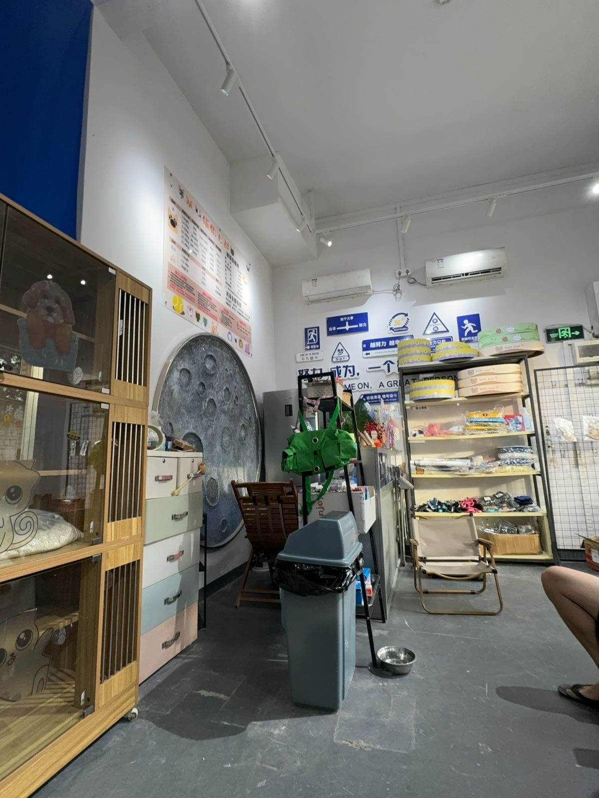 佰德猫狗大战宠物店