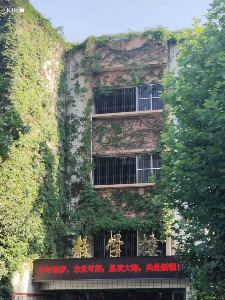 西路小学
