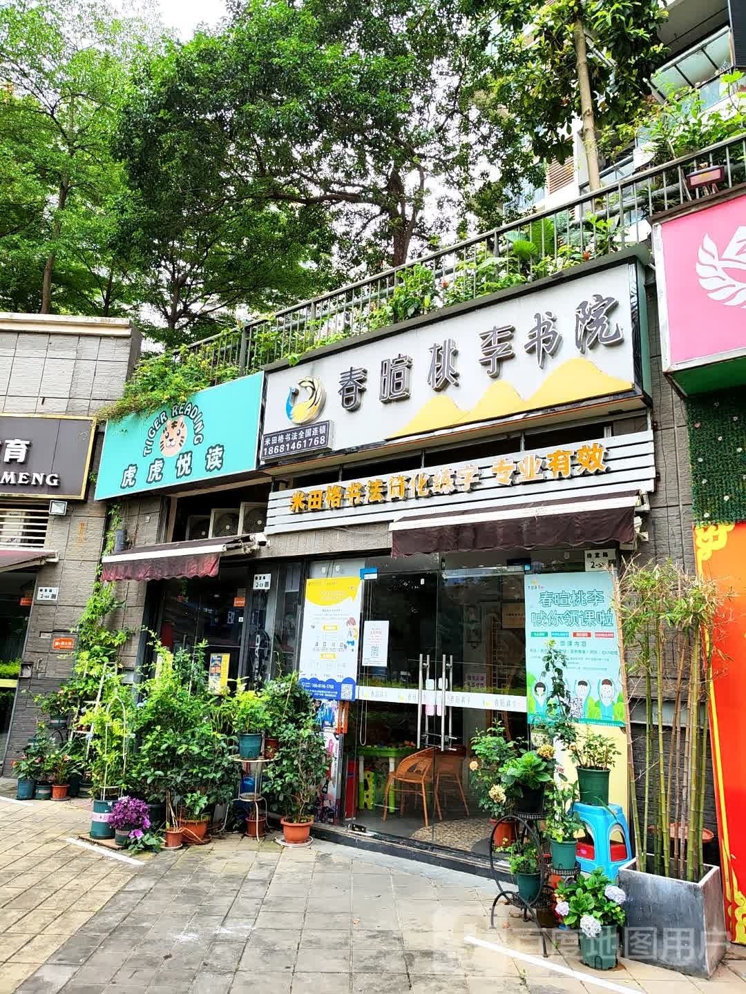 虎虎悦读