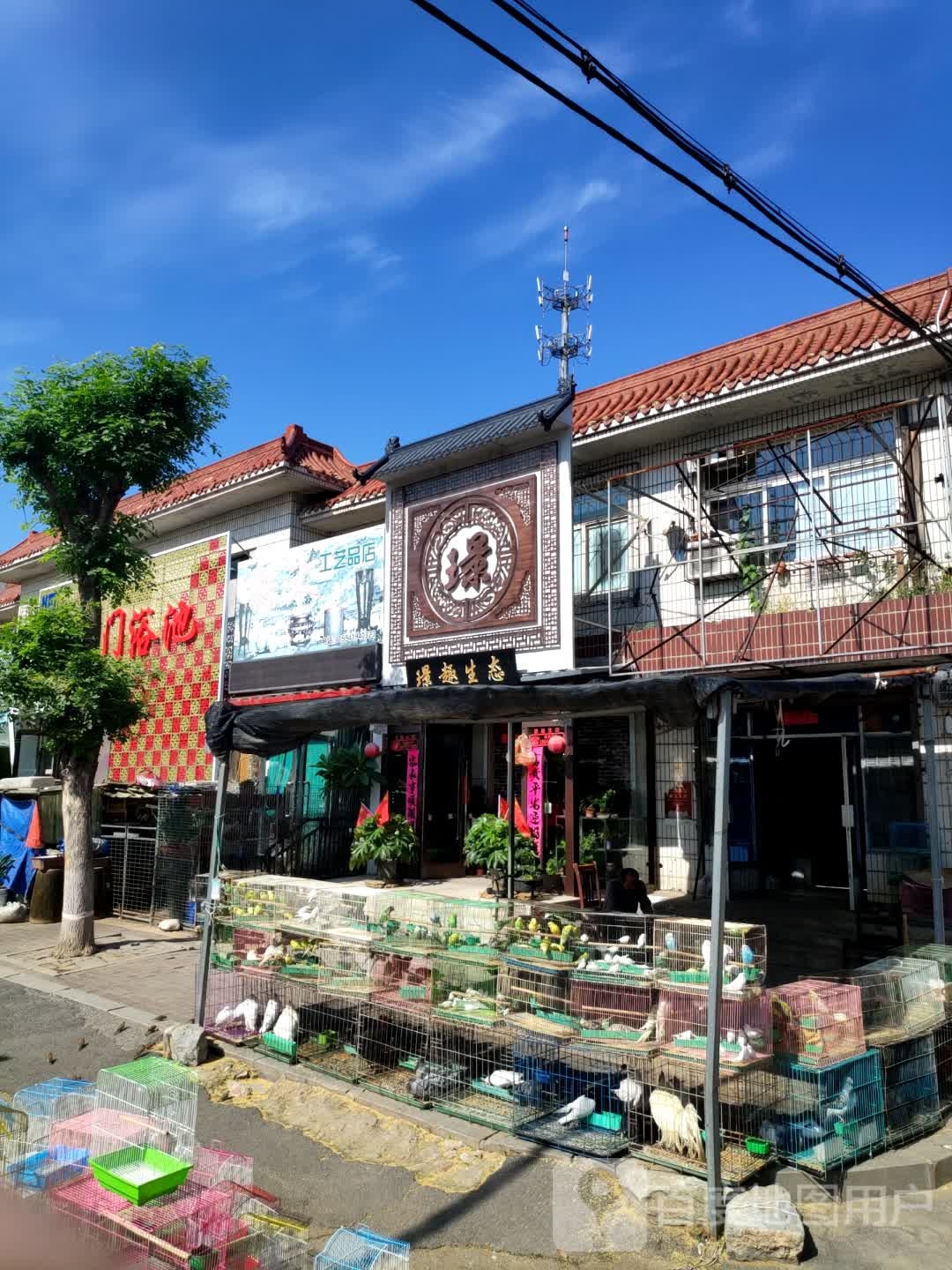 璟区生态水族馆