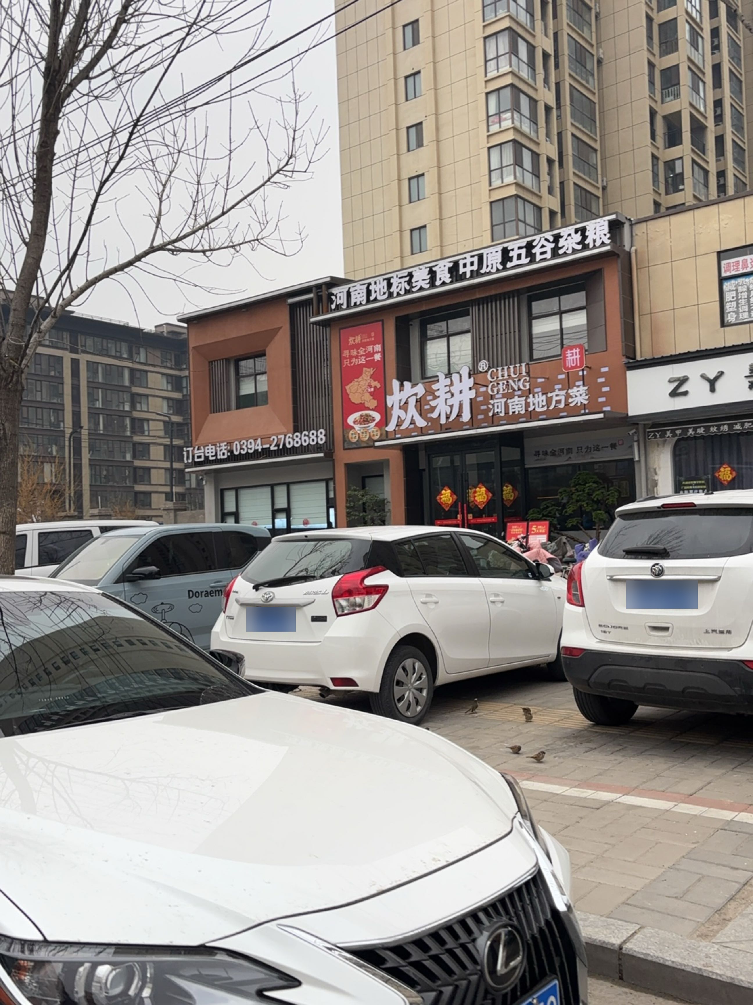 炊耕·河南地方菜(普罗旺斯店)