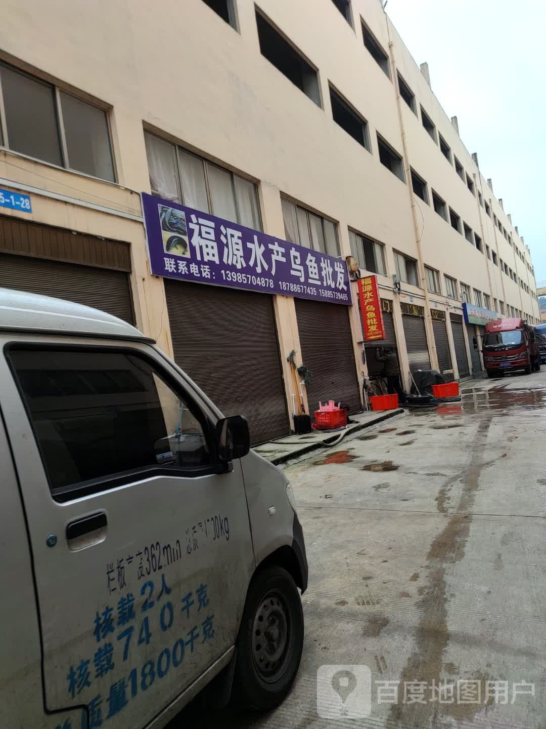 福源水产乌鱼批发
