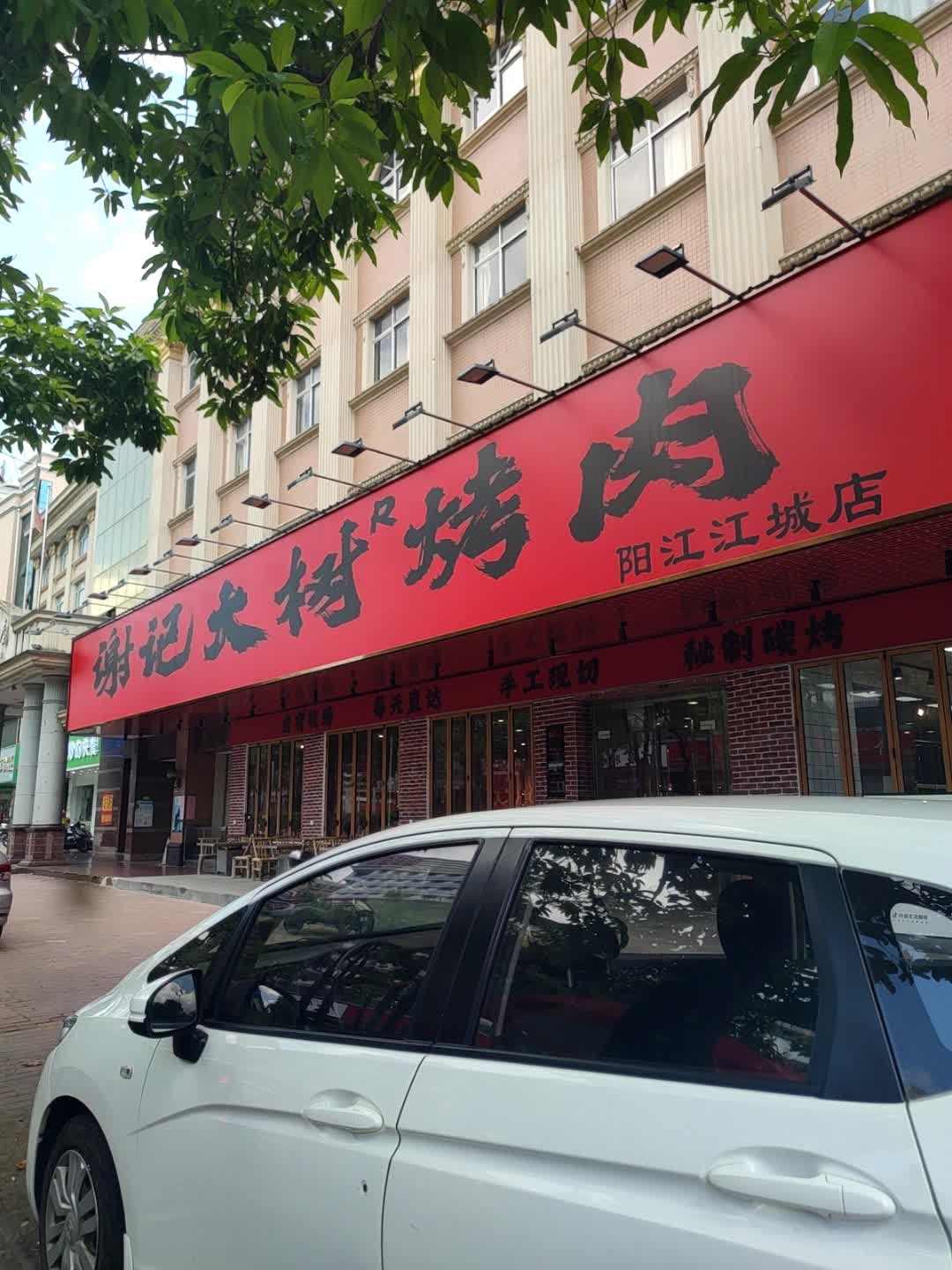 谢记大树烤肉(江城店)