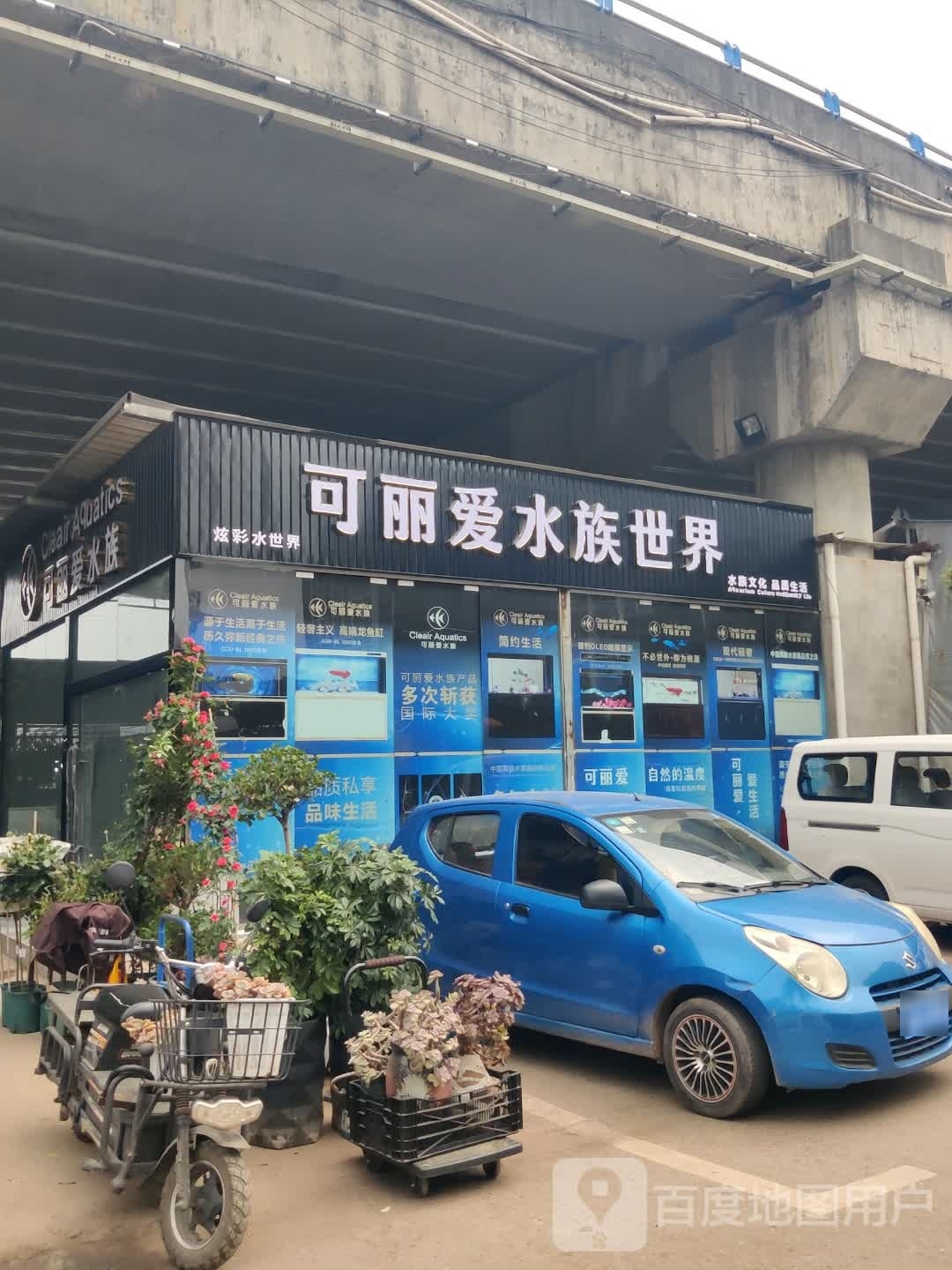 可丽爱水族世界