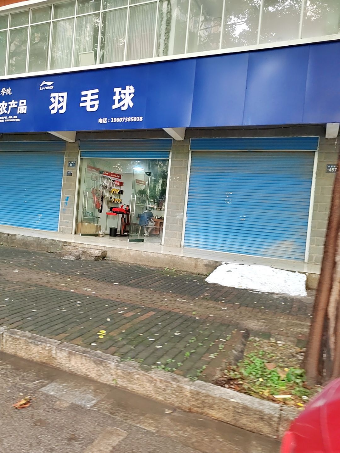 羽毛球