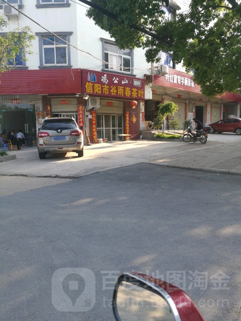 信阳市谷雨春茶叶