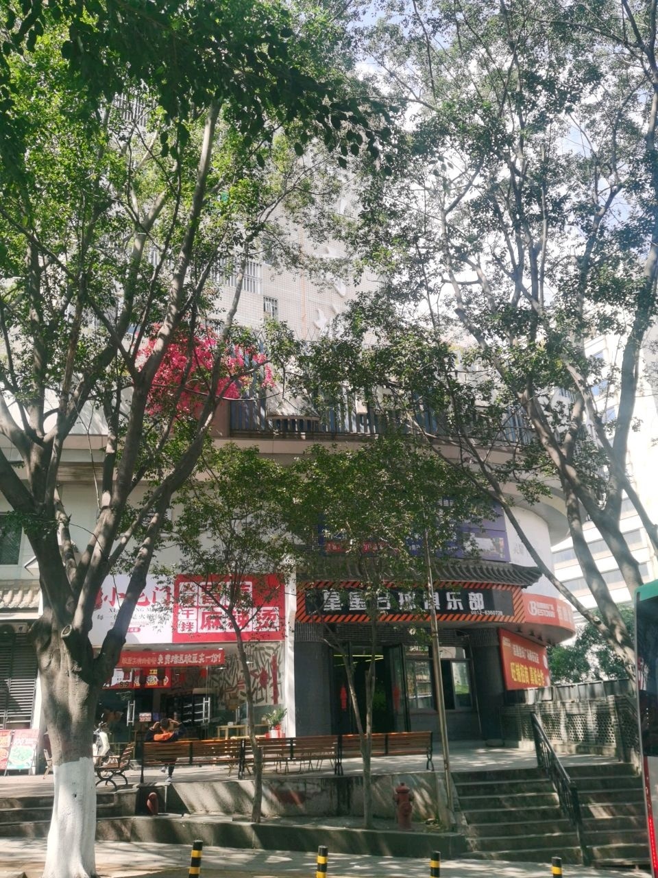 星星台球俱乐部
