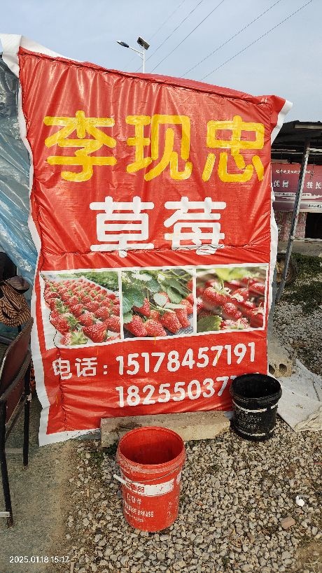 珠龙火龙果园