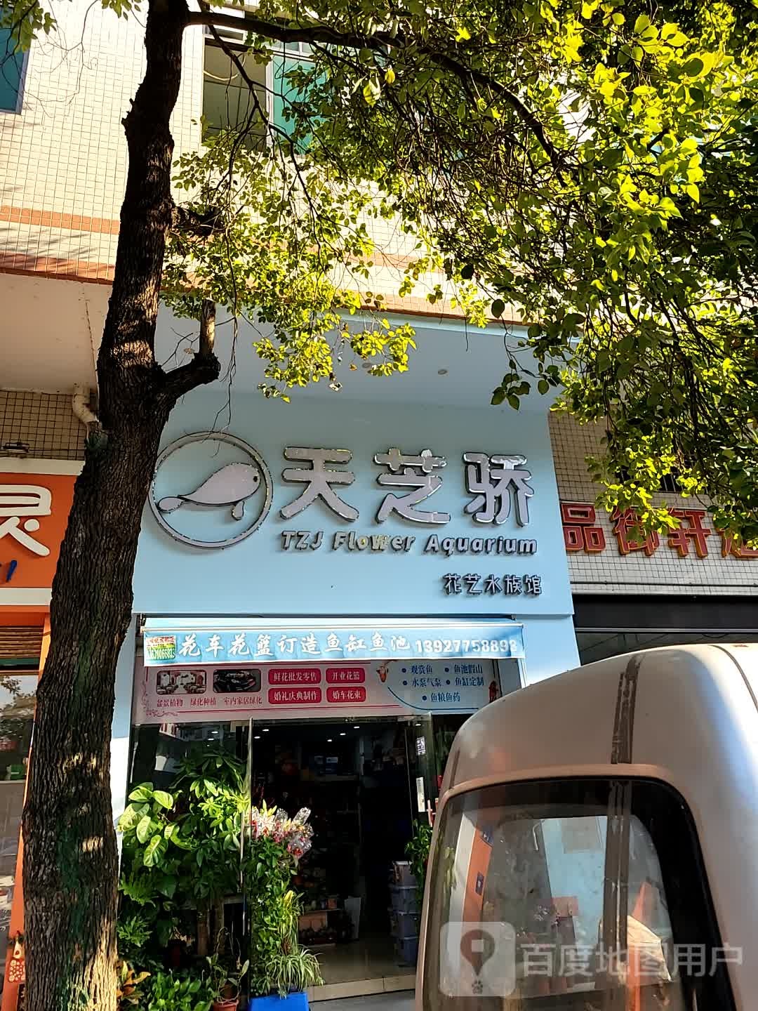 天芝骄花艺水族馆