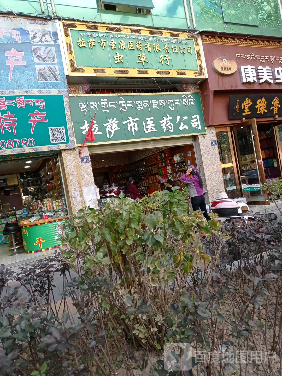 拉萨锦庭医药公司