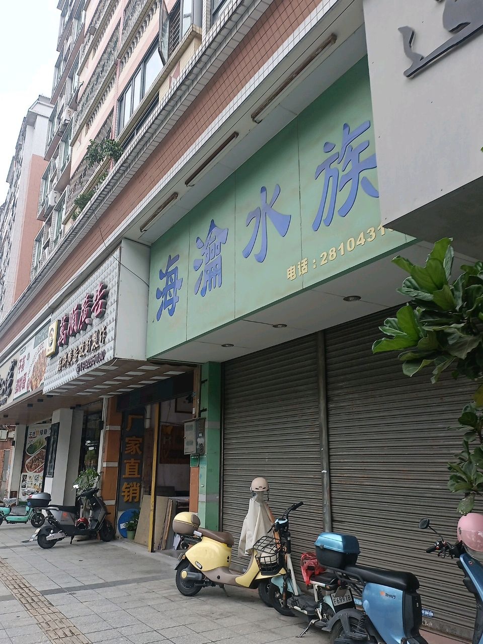 海沦水族(建兴楼店)