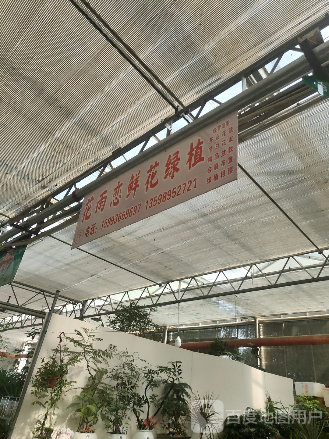 花雨恋鲜花绿植(兆丰花鸟鱼公司店)