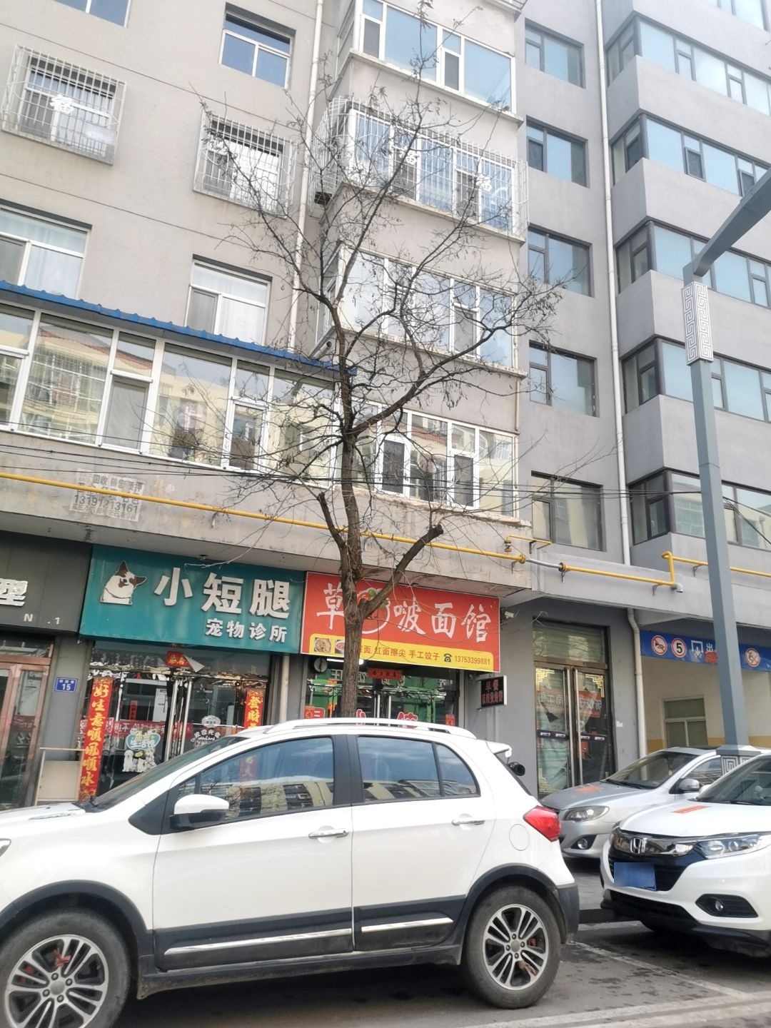 小短腿宠物诊所