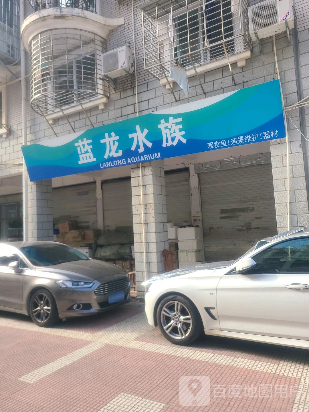 蓝龙水族(前埔北区二里店)