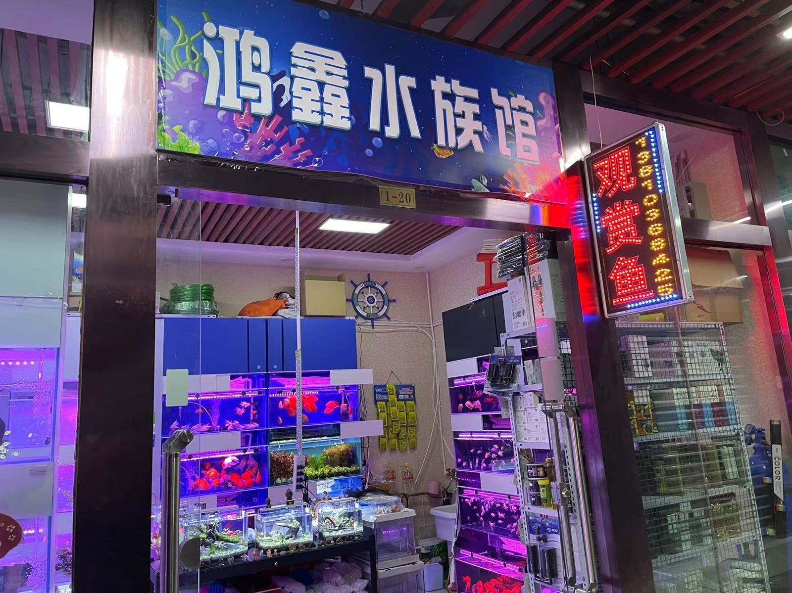 鑫濞衷鸿水族馆