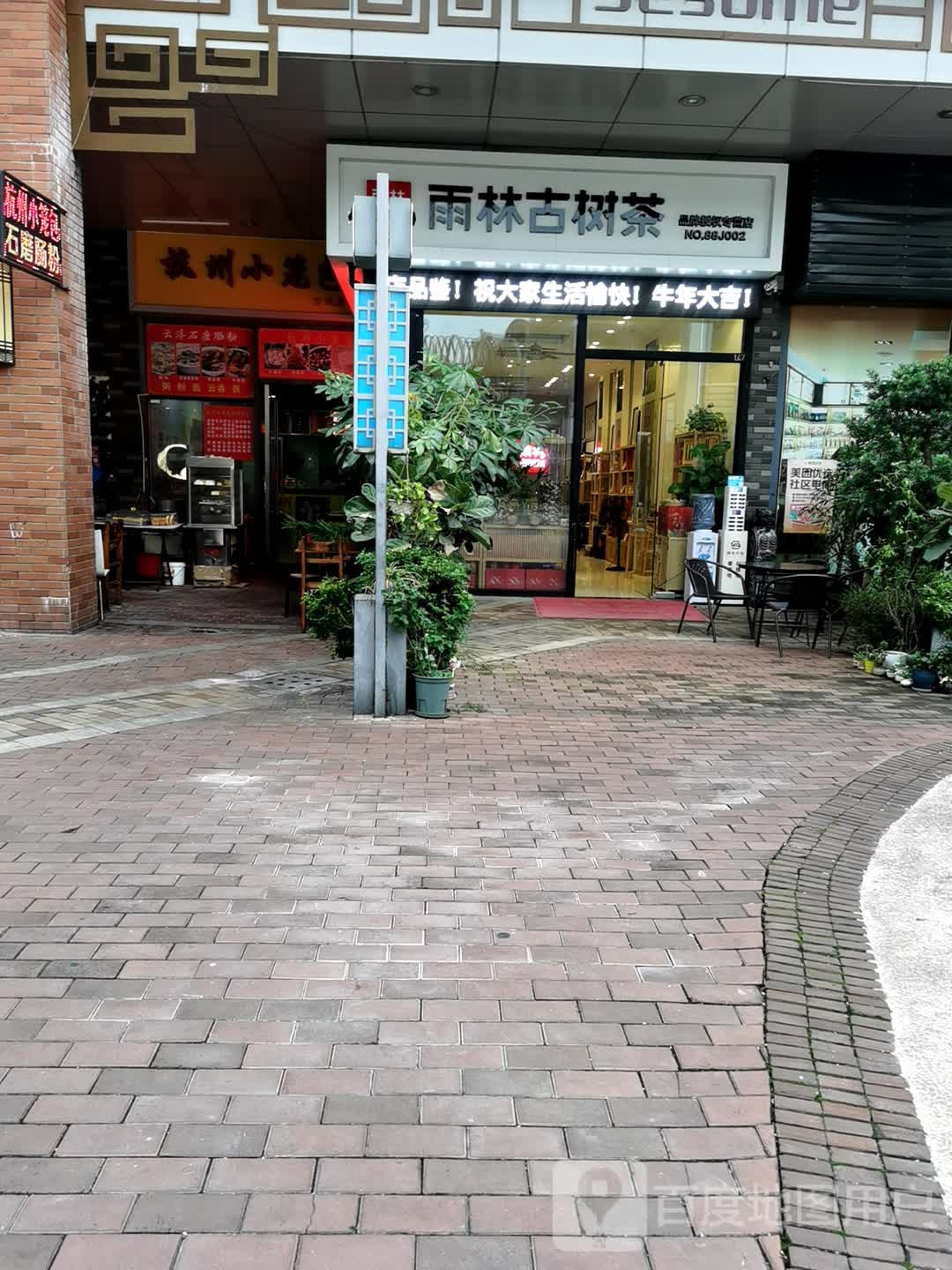 雨林古树茶(江门万达广场店)