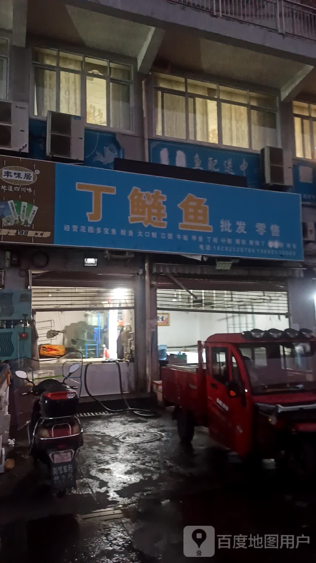 丁鲢鱼批发零售