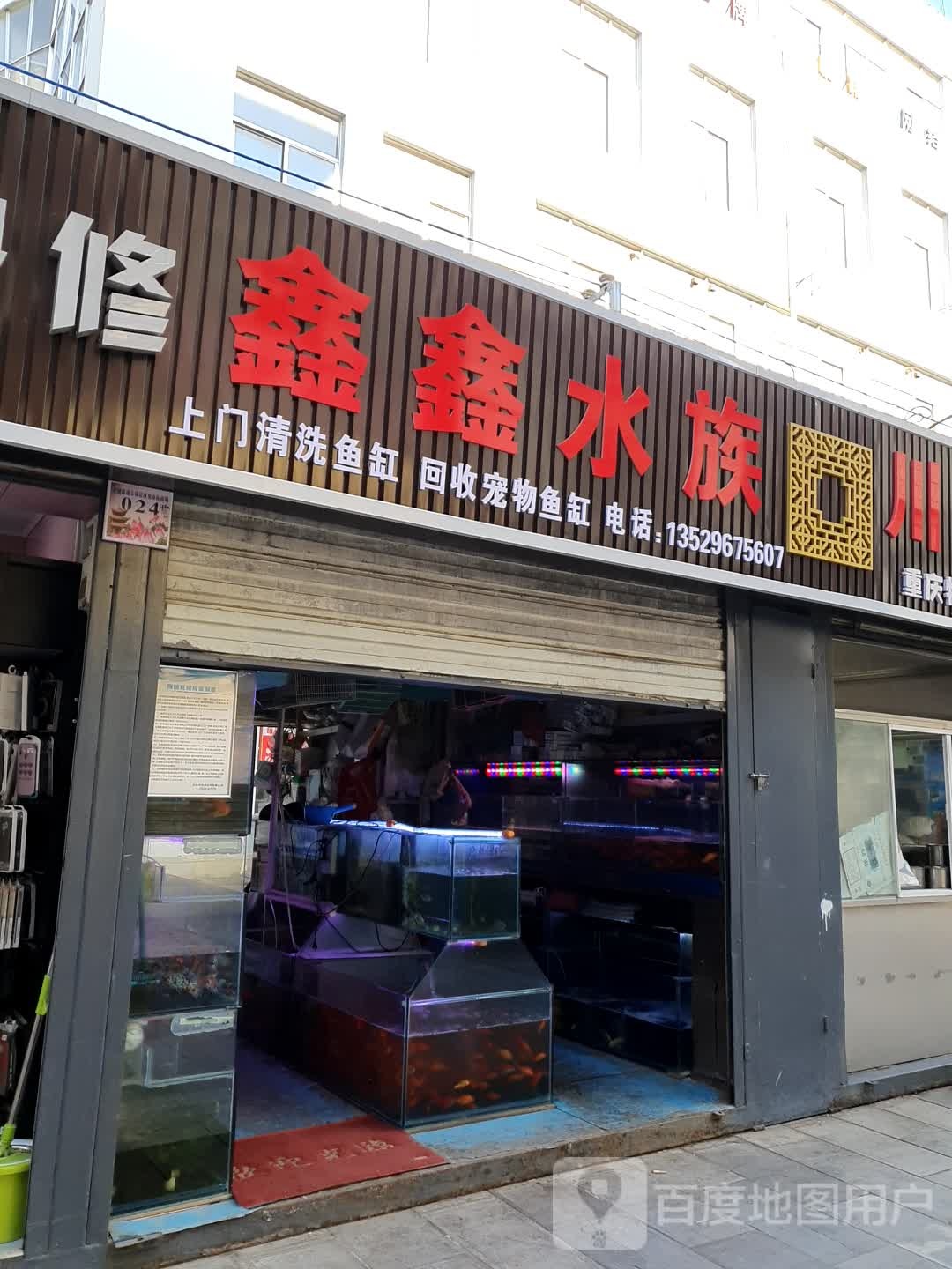 鑫鑫水景馆(呈贡文化大厦店)