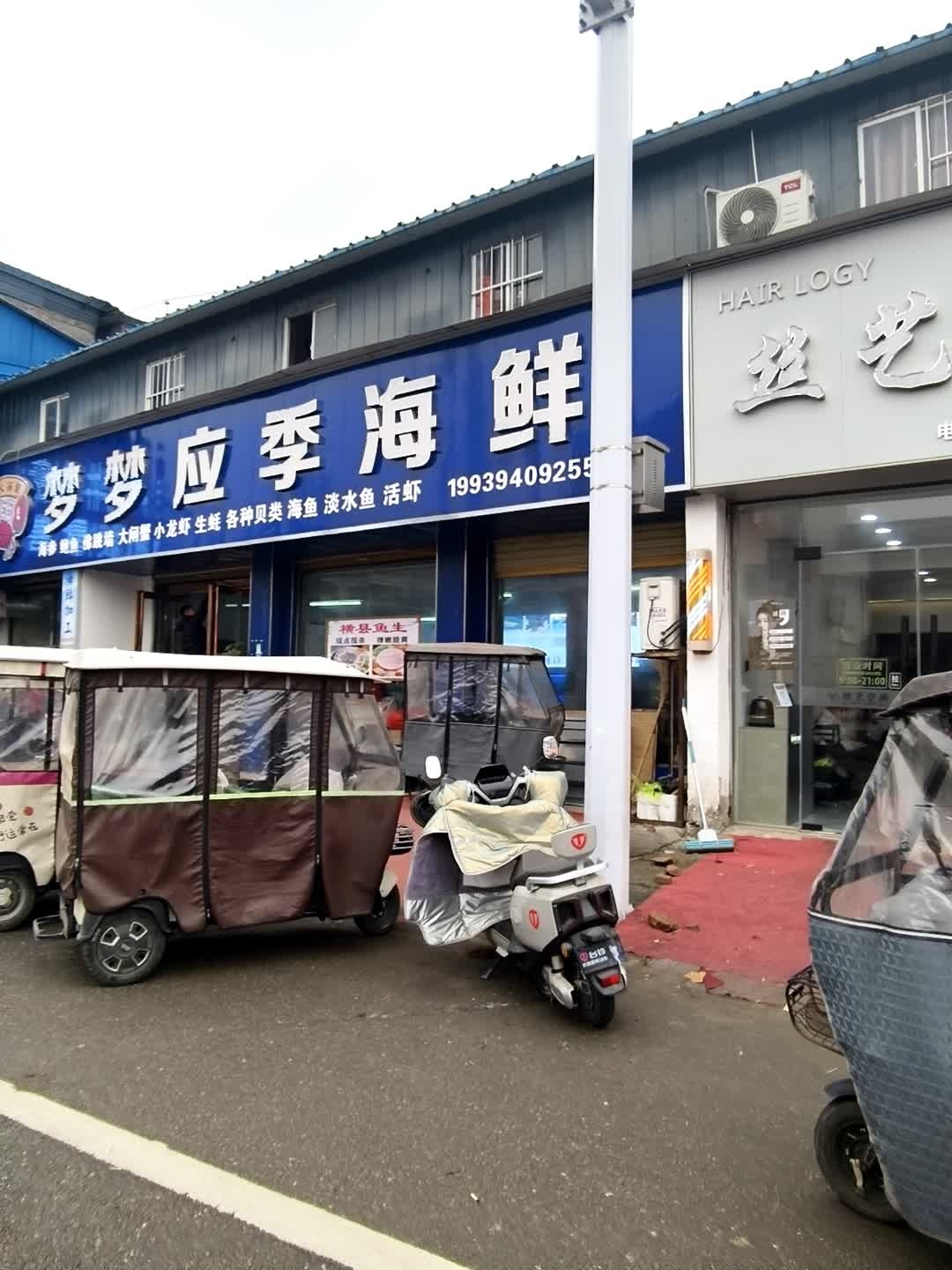 梦梦应季海鲜