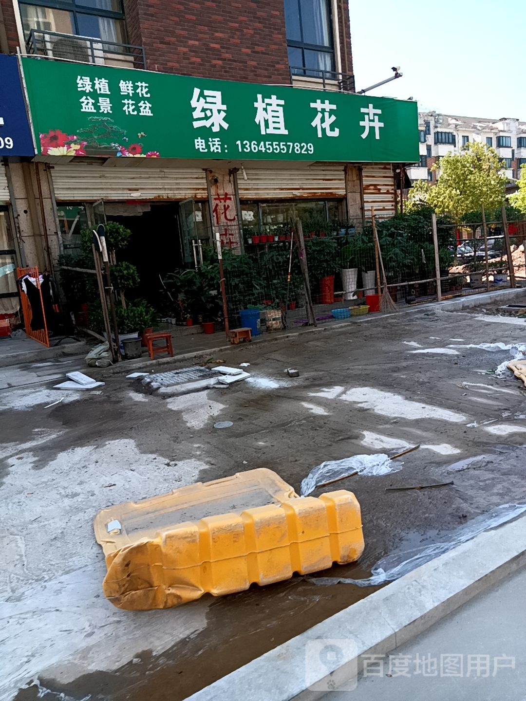 绿叶花卉(阳湖花园路)