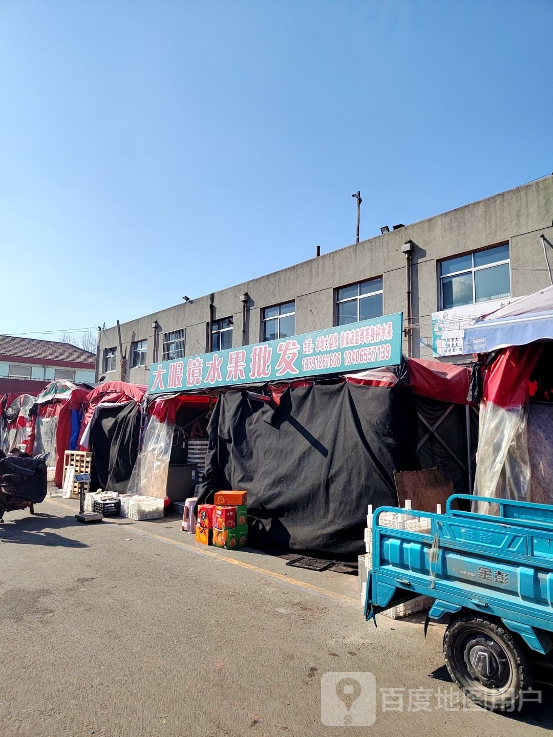 大眼镜水果啤发