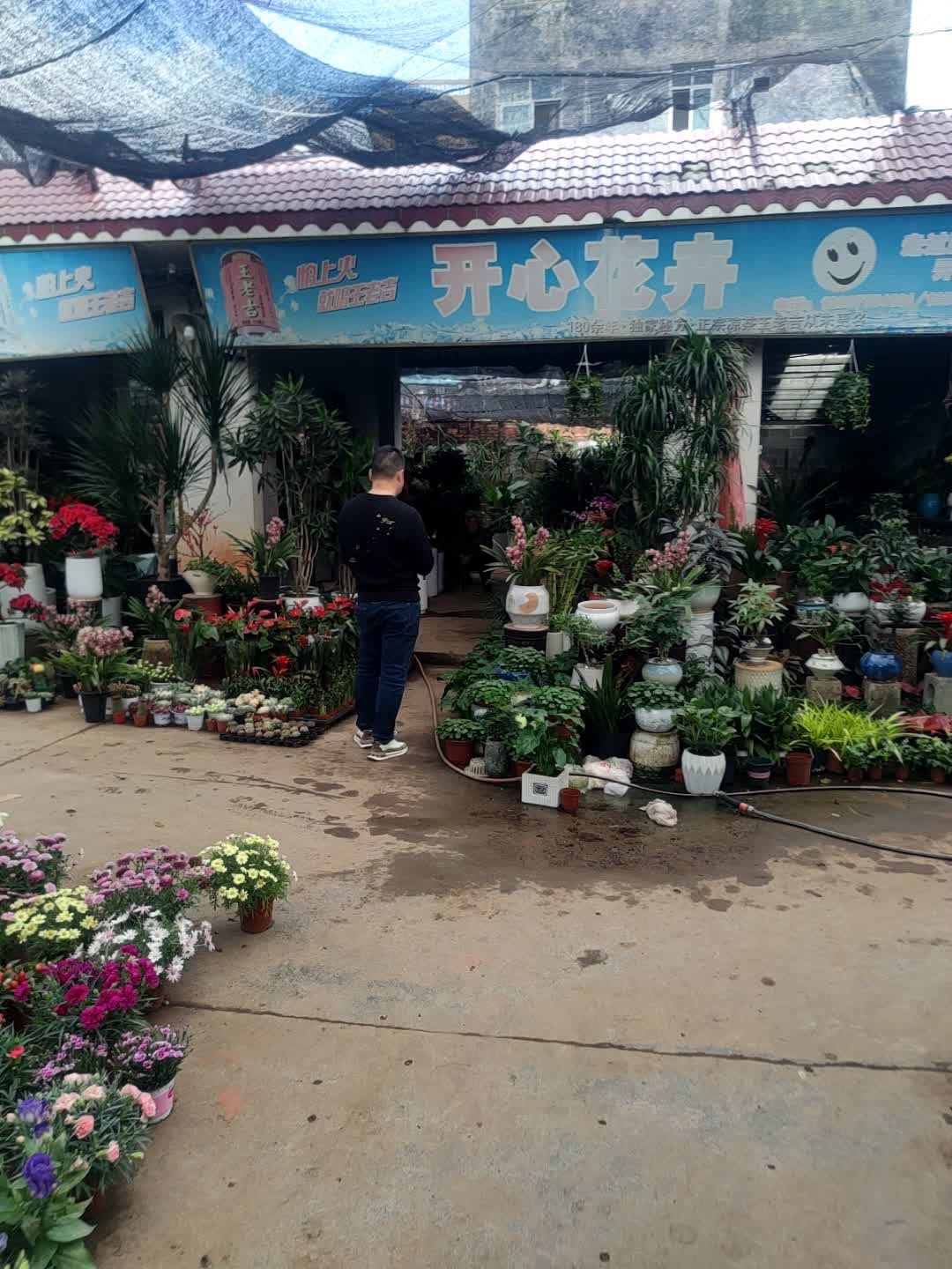 开心花卉(天心路店)