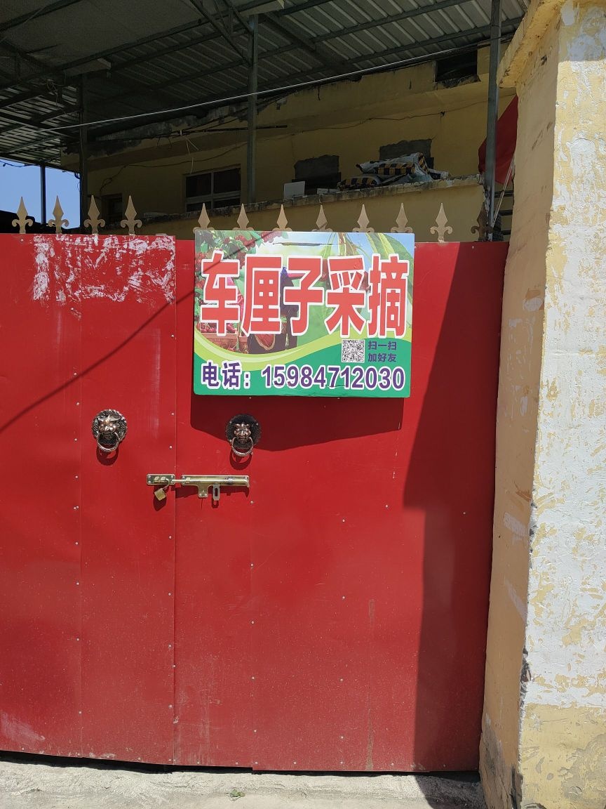 汶川赵文洪车厘子采摘基地