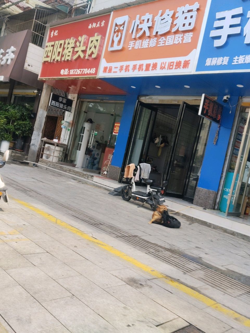快修猫(向阳大道店)