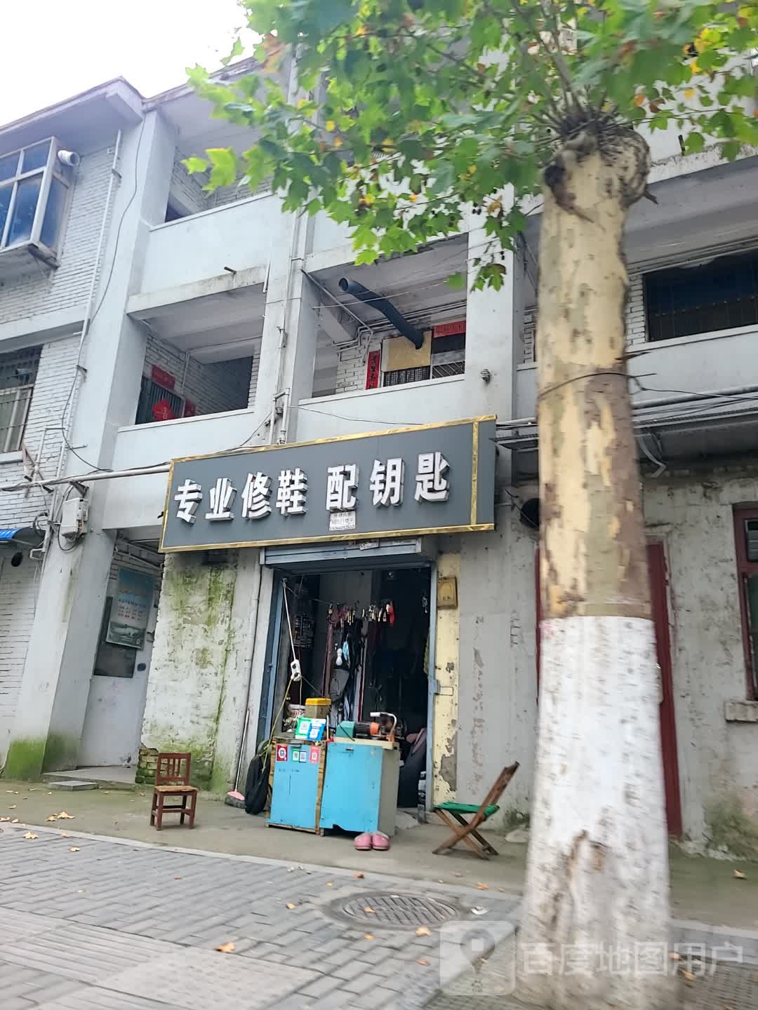 专业修鞋(延河中区店)