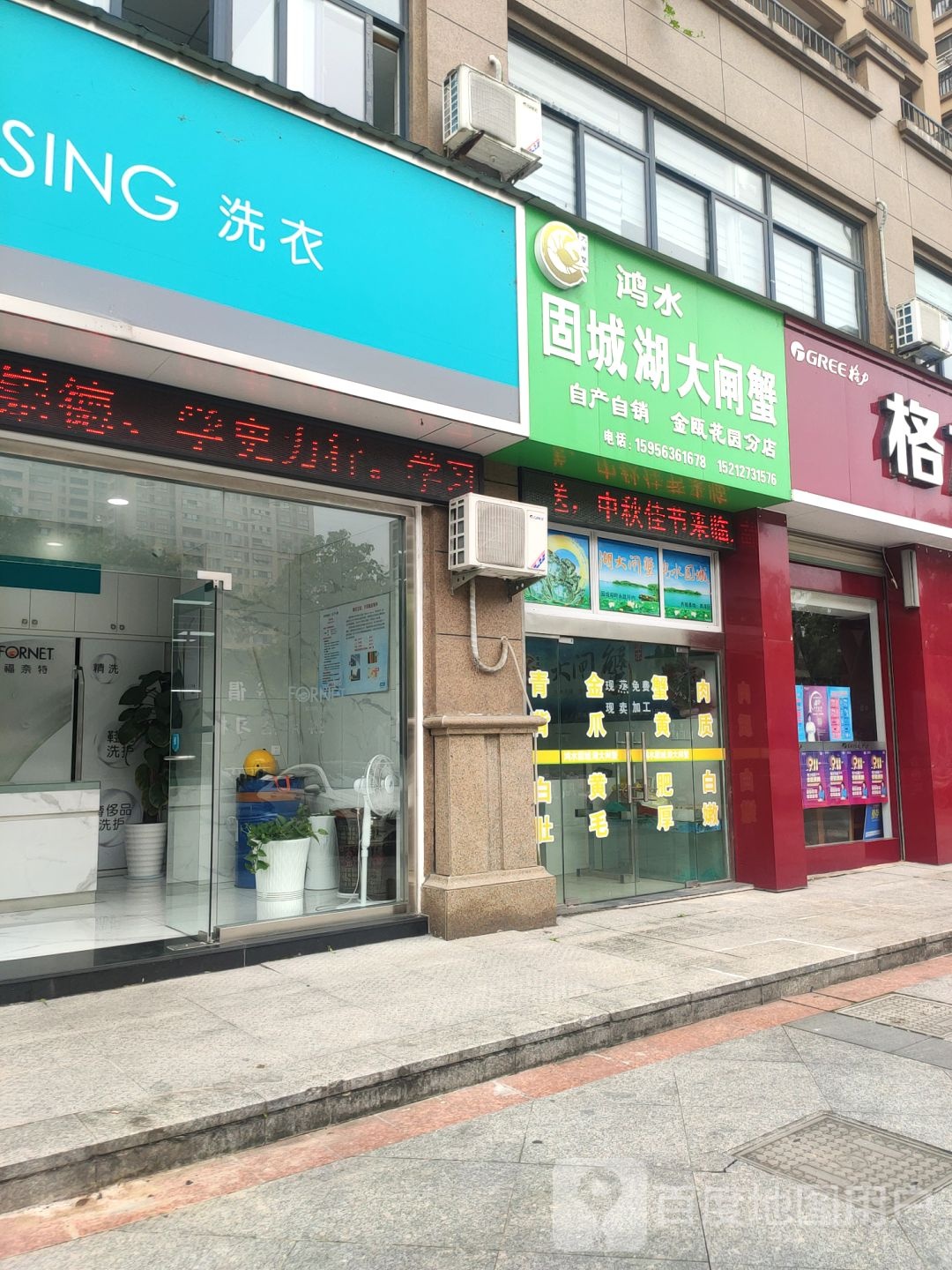 固城湖大闸蟹(金瓯花园分店)