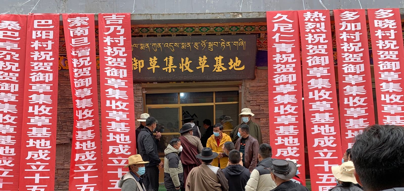 御草集合作社收草基地