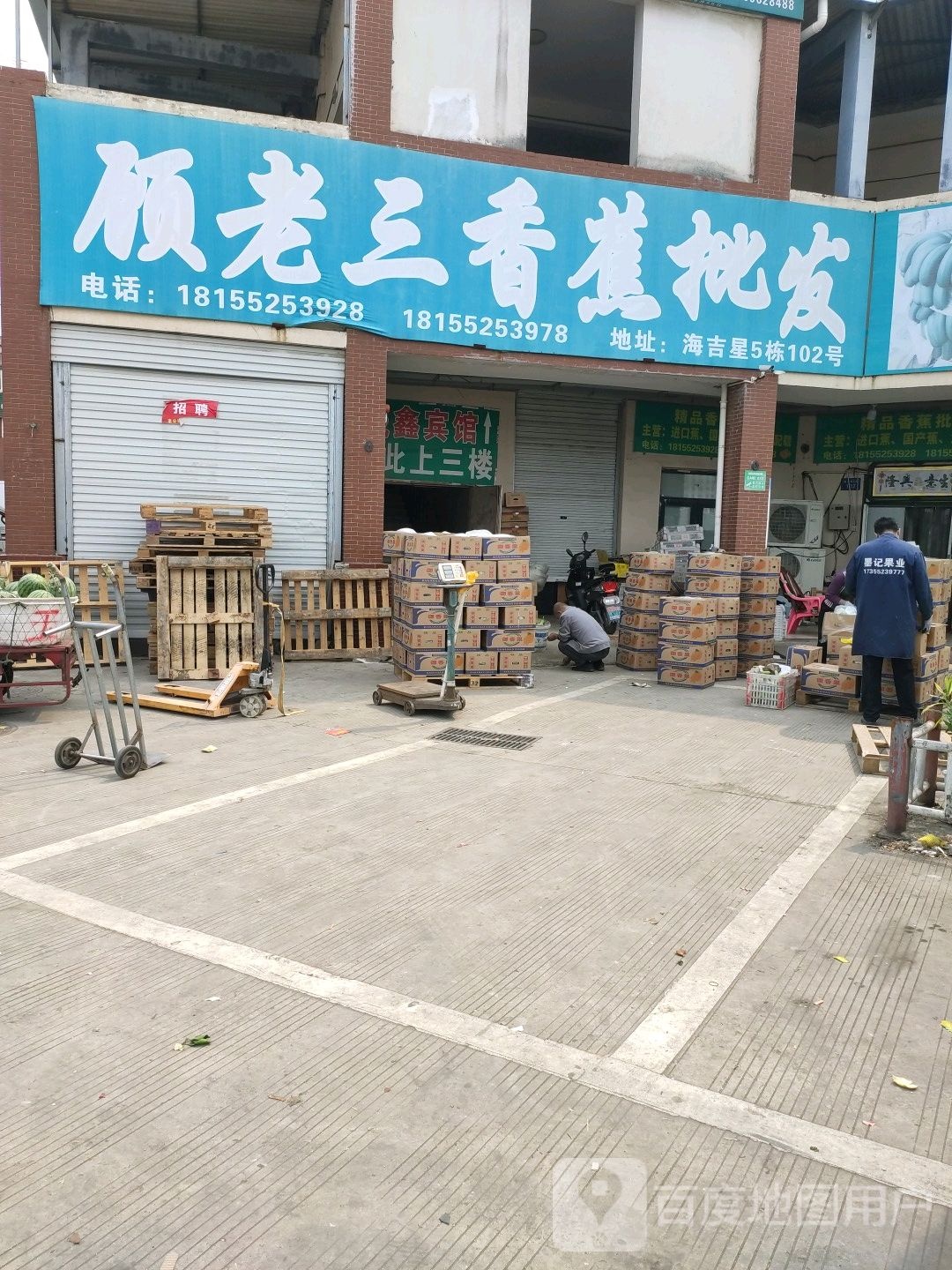顾老三香蕉批发