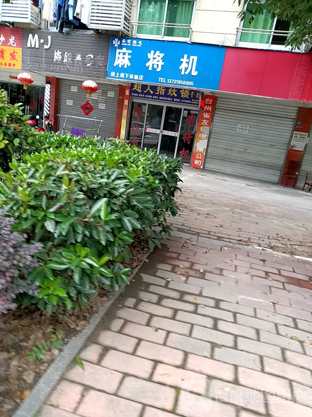 盛世樱花麻将机(迎驾西路店)