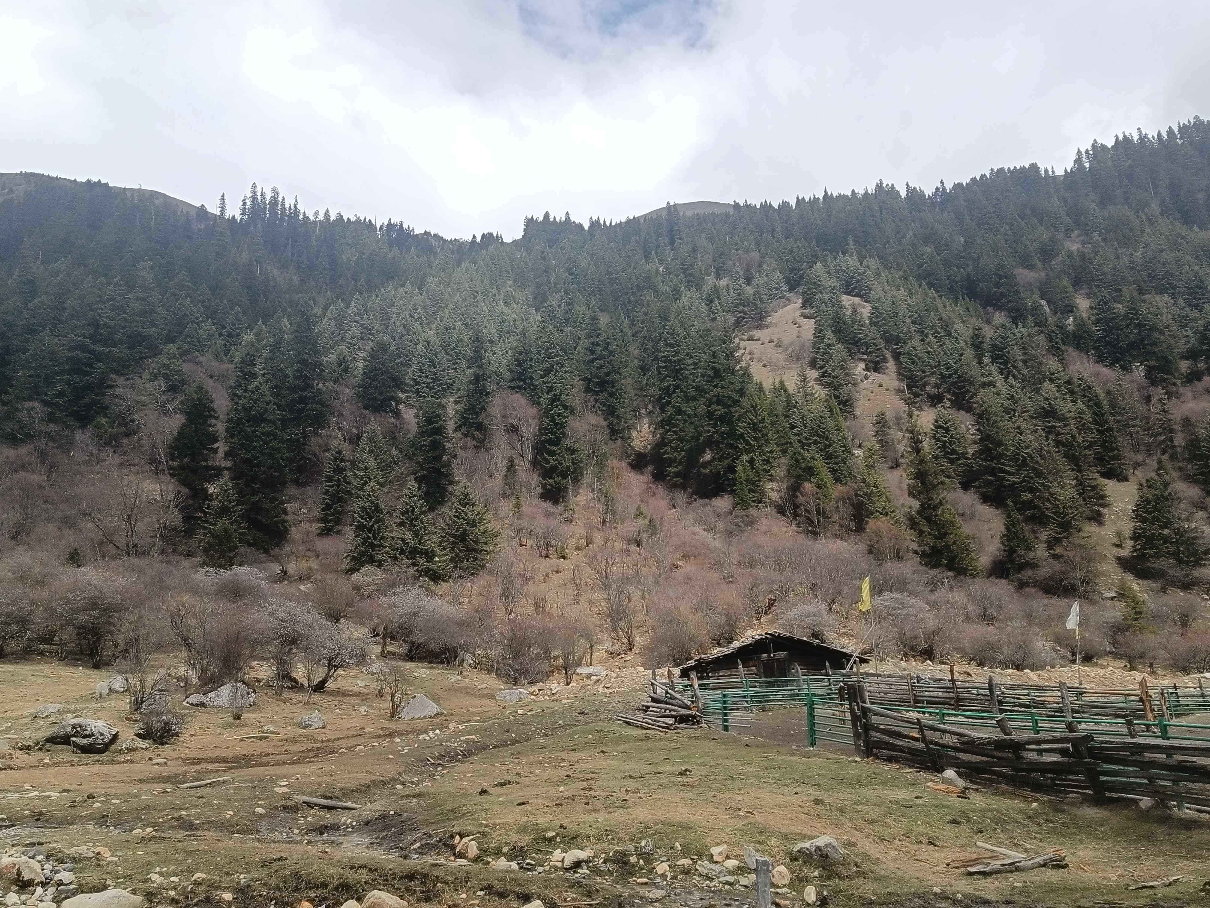高山牧场游览区
