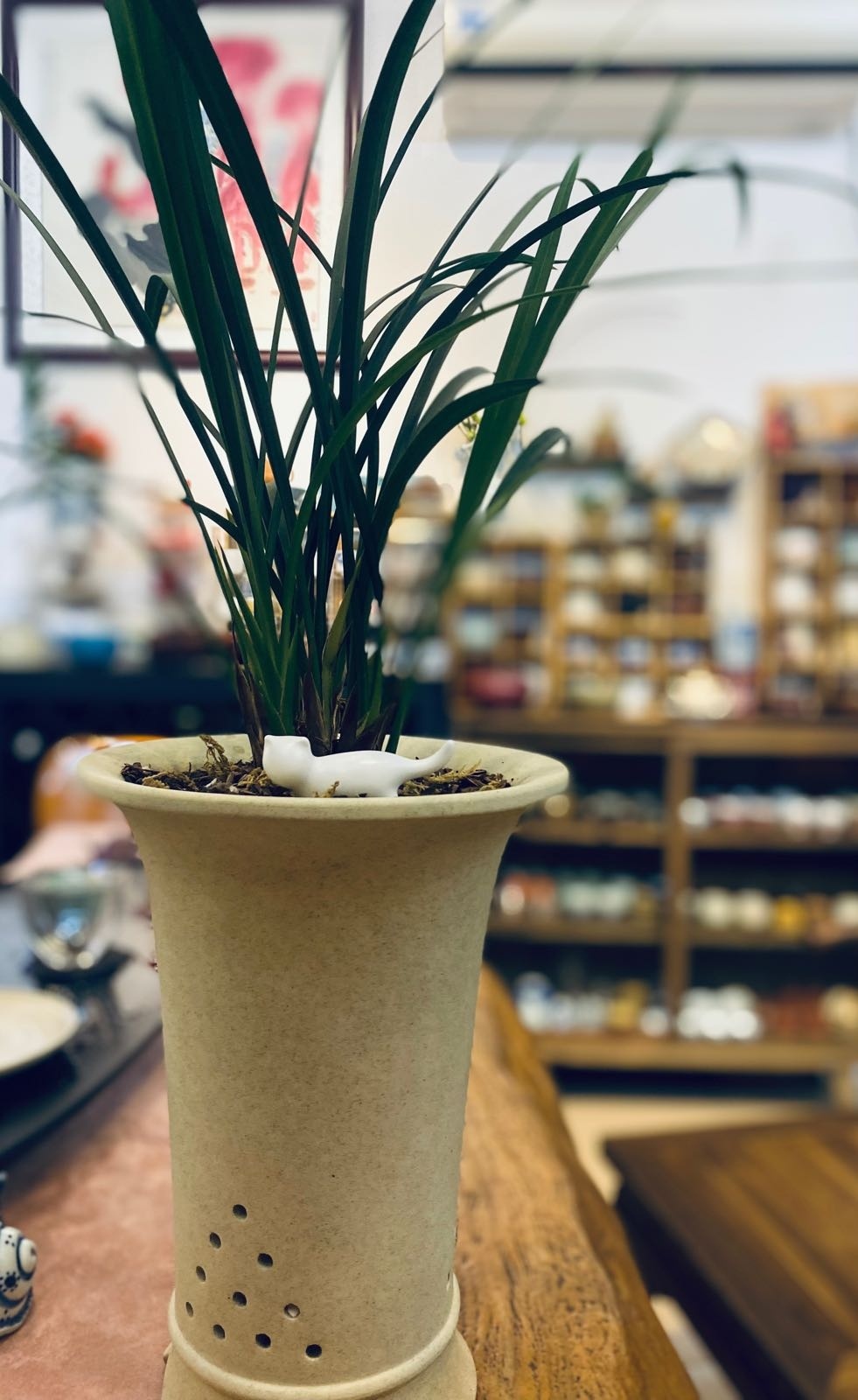 茶语