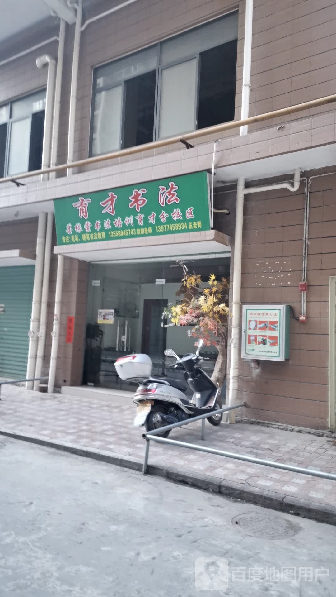 育才书法