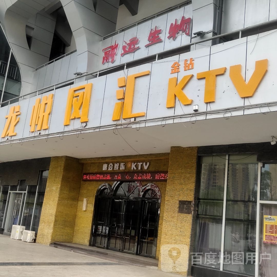 龙悦凤汇金钻KTV