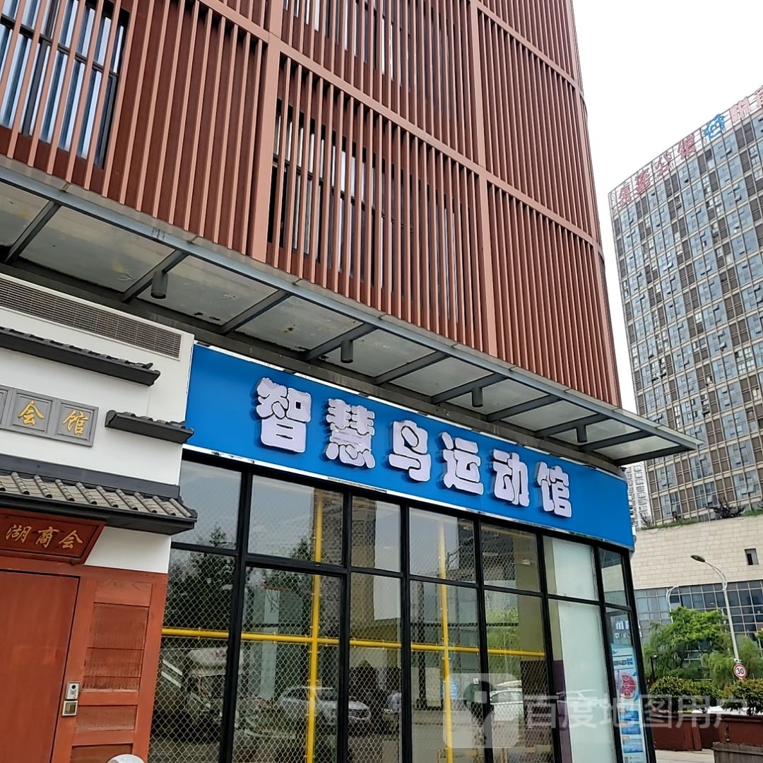 智慧鸟运动馆