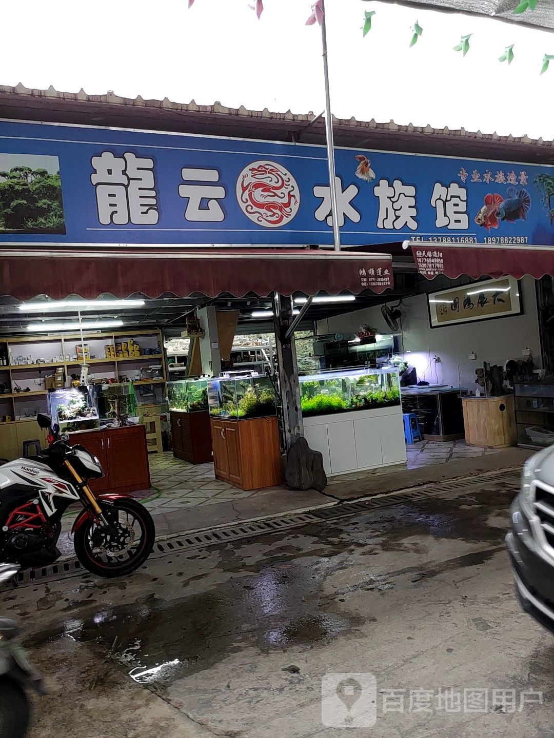 龙云水族馆