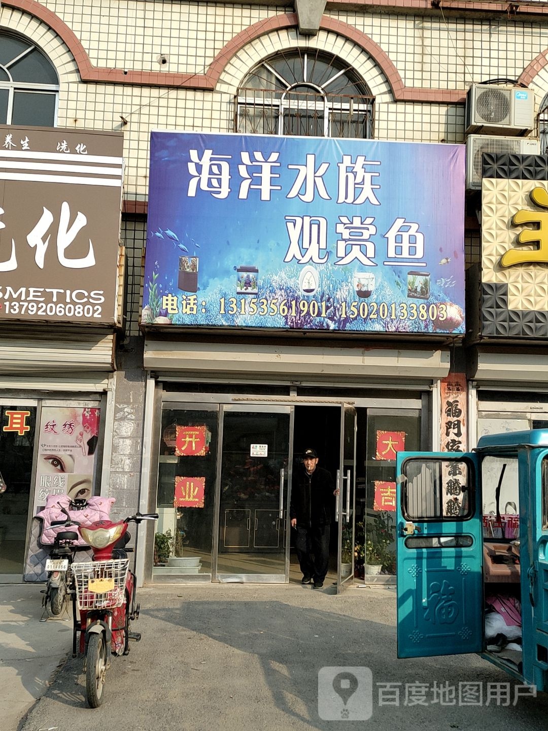 海洋水族观商鱼