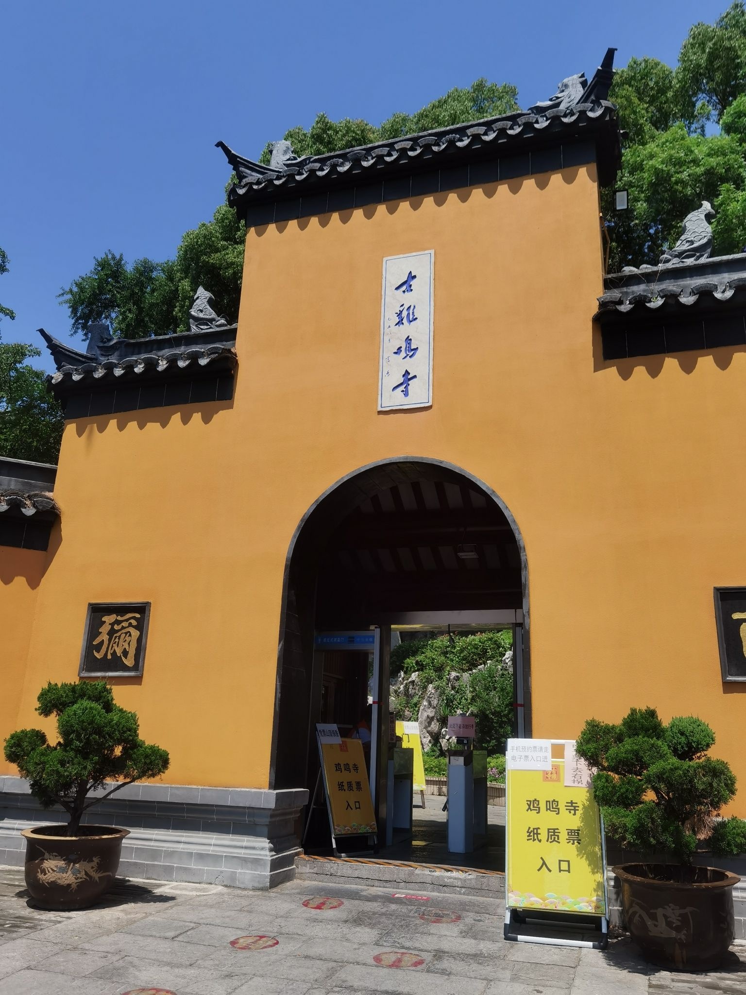 樱花大道