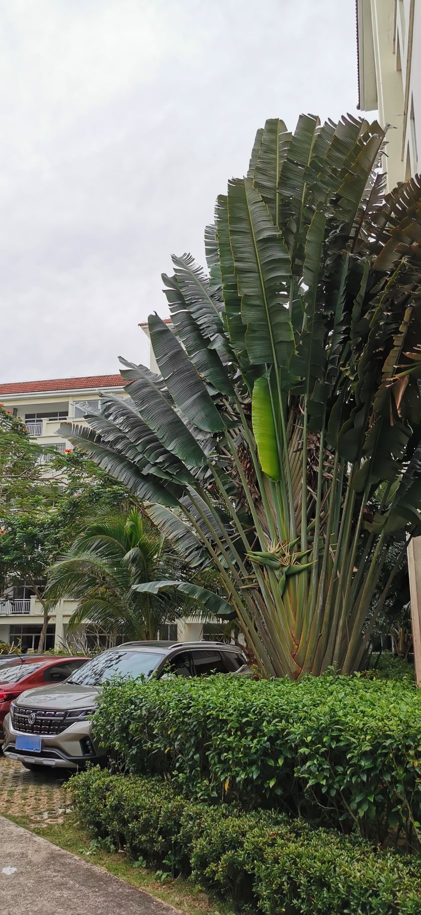 太阳河温泉花园