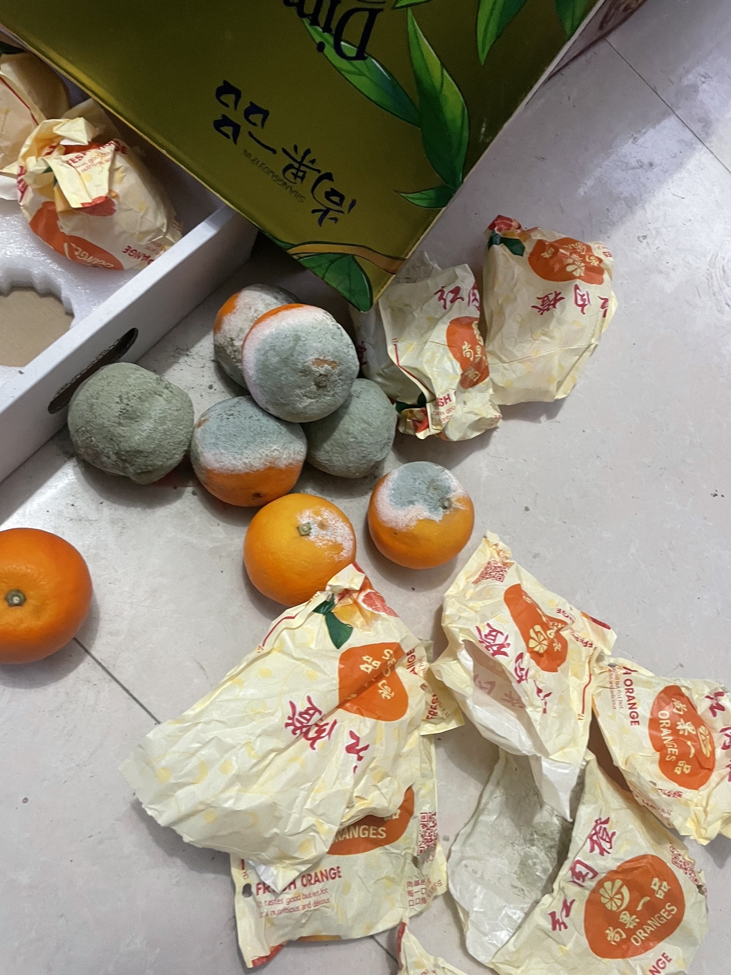 项城市中心广场