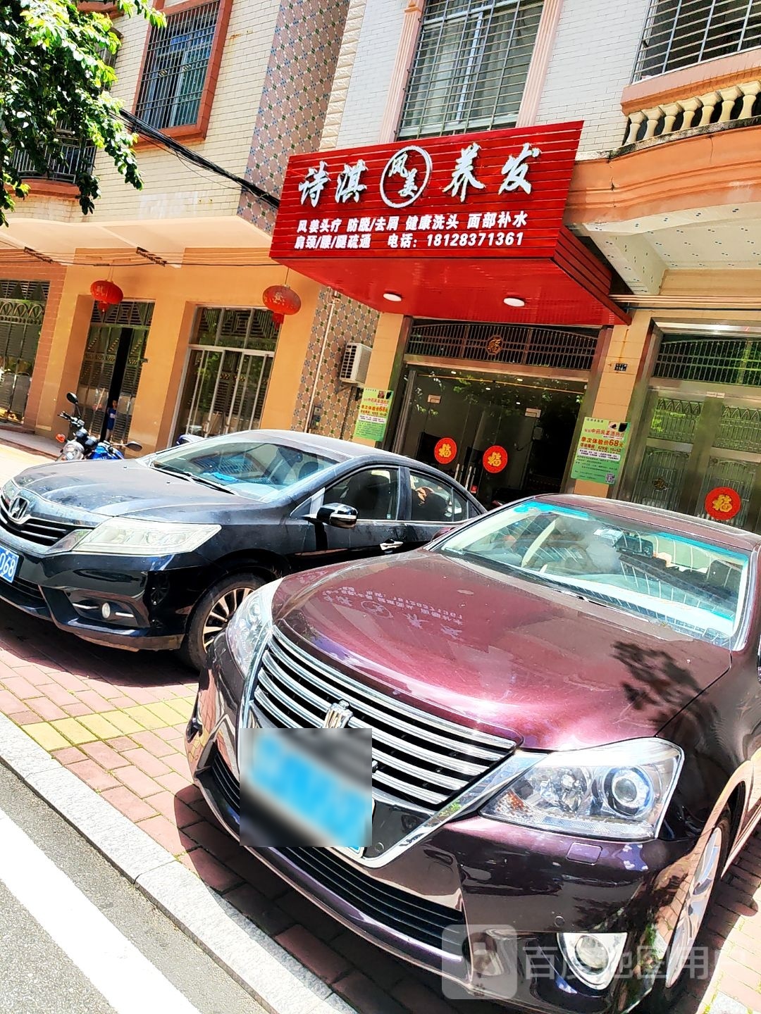诗淇风姜养发